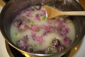 Соцветия Иван-Чая и клевера в квасцах до кипения