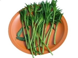 Побеги кипрея вкусны в свежем, жареном и вареном виде.