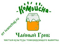 Чайный гриб (комбуча) 