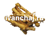 Корни Иван-чай
