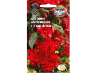 Бегония ампельная Казачка СеДеК