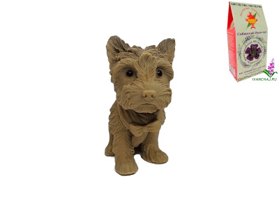 0242.png