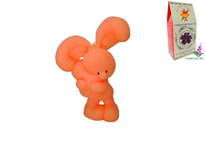 0243.png